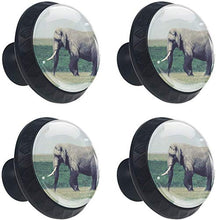 Elefante africano della steppa Pomelli per Porta Set di 4 Pomelli per Mobili Manopole per Cassetti Cucina Armadio Vetro