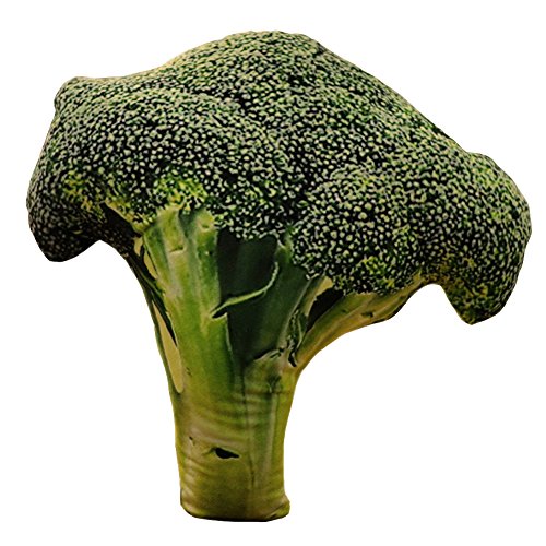 Koala Superstore Cuscini Decorativi Cuscini Cuscini Decorativi Carino Decor Cuscini Broccoli