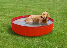 New Plast 0104 - My Dog Pool Piscina per Cani, 180 x 30 cm (ØxH)