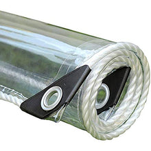 DLMSDG Telone Impermeabile per Esterno Trasparente, Telo Occhiellato Telone Rinforzato in Film Anti-Appannamento, Leggero, Pieghevole, per Fiori, Verdure E Frutta.(2x2.5m(6.6x8.2ft))