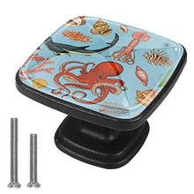 Set di pesci o creatura marina nautilus pompilius Pomelli per Porta 4 Pezzi Manopole per Mobili da Cucina Pomelli per Mobili Pomelli Per Cassetti/Cucina/Armadio Antichi