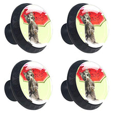 Ombrello anguria 4 PCS Pomelli per Porta, Pomolo per Mobile, Pomelli per Mobili con Viti, Maniglia per Armadietto, Pomelli per Porta, Pomelli per Cassetti per Porta, Armadio, Cassetto e Credenza