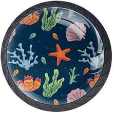 Marine Sea Shells Seaweed Starfish Pomelli per Porta Set di 4 Pomelli per Mobili Manopole per Cassetti Cucina Armadio Vetro