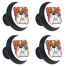 Set di 4 maniglie rotonde per armadio da cucina, credenza, cassettiera, cassettiera, con viti, per cucina, comò, armadietto, bagno, armadio e cane Bulldog