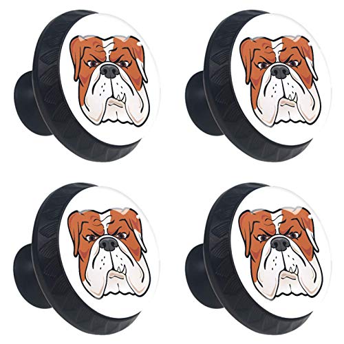 Set di 4 maniglie rotonde per armadio da cucina, credenza, cassettiera, cassettiera, con viti, per cucina, comò, armadietto, bagno, armadio e cane Bulldog