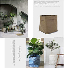 Sacchetti di immagazzinaggio, sacchetti di carta Kraft, sacchetti di immagazzinaggio di verdure, vaso di piante, vaso di fiori, cestino di fiori, sacchetti di immagazzinaggio lavabili