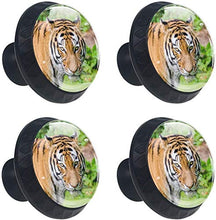 Cat Tiger Violent Outdoor Pomelli per Porta Set di 4 Pomelli per Mobili Manopole per Cassetti Cucina Armadio Vetro
