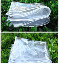 Telone Impermeabile Spesso Trasparente,Telone Impermeabile In Plastica con Occhiello,Telone Telo Copertura Antipioggia,isolamento Finestra Pellicola Ecologica PVC,Personalizzabile (2.4x3m/7.9x9.8ft)