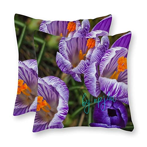 happygoluck1y - Set di 2 federe per cuscini decorativi da giardino, 45 x 45 cm, motivo fiori da giardino