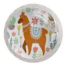 Pianta di alpaca 4 PCS Pomelli per Porta, Pomolo per Mobile, Pomelli per Mobili con Viti, Maniglia per Armadietto, Pomelli per Porta, Pomelli per Cassetti per Porta, Armadio, Cassetto e Credenza