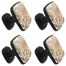 Accessori da spiaggia 4 PCS Pomelli per Porta, Pomolo per Mobile, Pomelli per Mobili con Viti, Maniglia per Armadietto, Pomelli per Porta, Pomelli per Cassetti per Porta, Armadio, Cassetto e Credenza
