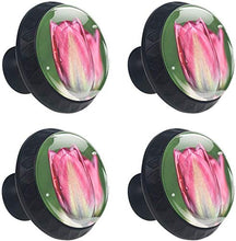 Fioritura Tulipano Fiore Rosa Pomelli per Porta Set di 4 Pomelli per Mobili Manopole per Cassetti Cucina Armadio Vetro