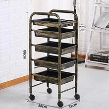 YIN YIN Carrello per Ripiani Pavimento per Parrucchiere Dedicato con Retro Semplice per Parrucchiere Carrello a rulli (Color : B)
