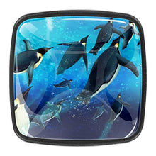 pinguino (2) 4 PCS Pomelli per Porta, Pomolo per Mobile, Pomelli per Mobili con Viti, Maniglia per Armadietto, Pomelli per Porta, Pomelli per Cassetti per Porta, Armadio, Cassetto e Credenza
