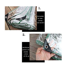 DLMSDG Telone in Vetro Trasparente, Vetro Trasparente Incatramata, Addensato Materiale Impermeabile Resistenza al Gelo Asola Zincata, Antigelo, Pieghevole, per Interni Ed Esterni(3x4m(9.8x13.1 ft))
