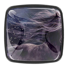 Stella del cavallo 4 PCS Pomelli per Porta, Pomolo per Mobile, Pomelli per Mobili con Viti, Maniglia per Armadietto, Pomelli per Porta, Pomelli per Cassetti per Porta, Armadio, Cassetto e Credenza