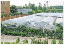 GJSN Teloni, Multiuso Vele da 4 Mil Cancella Canopy Parasole Tarp con Occhielli, Impermeabile per il Giardino/Serra/Finestra/Piante Grasse, Trasparente,2Mx3M