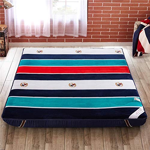 Nileco Tatami Materasso da Terra Dormire, Addensare Coprimaterasso Trapuntato Lavabile Materasso Futon Morbido Coprimaterasso per La Casa,dormitorio Studentesco-f 150x190cm(59x74inch)