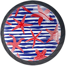 Red Sea Starfish Blue White Striped Pomelli per Porta Set di 4 Pomelli per Mobili Manopole per Cassetti Cucina Armadio Vetro