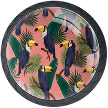 Toucan Birds Pattern Foglie verdi Rosa tropicale Pomelli per Porta Set di 4 Pomelli per Mobili Manopole per Cassetti Cucina Armadio Vetro