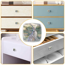 canguro 4 PCS Pomelli per Porta, Pomolo per Mobile, Pomelli per Mobili con Viti, Maniglia per Armadietto, Pomelli per Porta, Pomelli per Cassetti per Porta, Armadio, Cassetto e Credenza