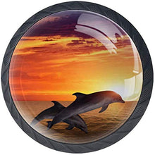 Sea Whale Sunrise Pomelli per Porta Set di 4 Pomelli per Mobili Manopole per Cassetti Cucina Armadio Vetro
