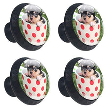 Wetia Coppa Primavera per Cani per la Cucina di casa Armadio Armadio Armadio Nero 3,5 x 2,8 cm