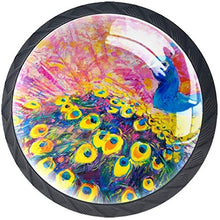 Pavone Colorato Pomelli per Porta Set di 4 Pomelli per Mobili Manopole per Cassetti Cucina Armadio Vetro
