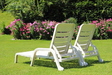 2,5 Litro Kunststoffintensivreiniger Pulitore Plastica Intensivo Detergente Mobili da Giardino Grasso Feci Dell'Insetto Residui Tempo di Meteo Gan Depositi Decolorazione Giardino Purificatore