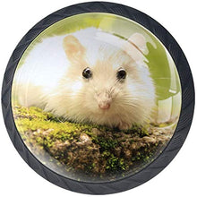 Criceto bianco natura Pomelli per Porta Set di 4 Pomelli per Mobili Manopole per Cassetti Cucina Armadio Vetro