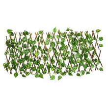 Recinzione per piante (200 x 40 cm), protezione privacy, copertura per balconi, copertura in PVC