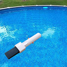 Fenteer Piscina Pietra Pomice w/Maniglia della Clip, Piscina Stain Eraser per Ruggine Marks, Alghe Foglia di Macchie, Efficace