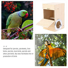 STOBOK Di Legno Nido di Uccello 1Pc Cockatiel Incastramento Box Creativo Casa di Uccelli Uccello Casa per La Gabbia di Uccello Vivaio Casella di Allevamento| 20X12x12cm