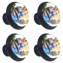 Alba hawaiana 4 PCS Pomelli per Porta, Pomolo per Mobile, Pomelli per Mobili con Viti, Maniglia per Armadietto, Pomelli per Porta, Pomelli per Cassetti per Porta, Armadio, Cassetto e Credenza