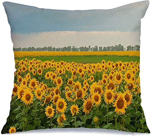 Copridivani Cuscini DivanoEstate in fiore campo di girasoli nuvoloso naturale cielo rurale natura prato parchi design esterno soleggiato copricuscini 45X45CM