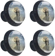 Raccoon and Palm Lamp Pomelli per Porta Set di 4 Pomelli per Mobili Manopole per Cassetti Cucina Armadio Vetro