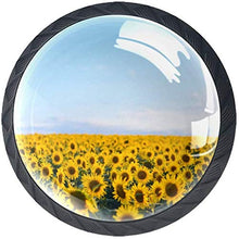 Paesaggio del campo di girasoli Pomelli per Porta Set di 4 Pomelli per Mobili Manopole per Cassetti Cucina Armadio Vetro