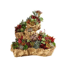 QJXSAN Flower Pot Creativo di Simulazione Albero radice della pianta Container casa Desktop Carne E Cactus Vasi Decoration Bagagli