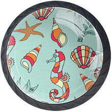 Seahorse-1768788 Pomelli per Porta Set di 4 Pomelli per Mobili Manopole per Cassetti Cucina Armadio Vetro