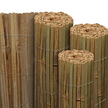 Sol Royal Frangivista frangivento di bambú per Giardino & balconi SolVision B89 100x300 cm Protezione Naturale Privacy
