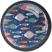 Pesci Pattern Colorato Mare Marina Pomelli per Porta Set di 4 Pomelli per Mobili Manopole per Cassetti Cucina Armadio Vetro