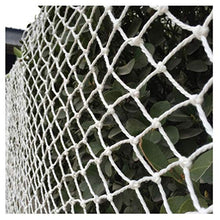 WaiMin Rete sicura for bambini Rete da costruzione Scale for bambini Balcone Rete protettiva Reti in nylon Impianto Senna Isolamento Rete anti-gatto Scuola materna Parco giochi Decorazione Rete antica