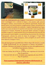 CABEX CO. S.r.l. - Chiosco Espositivo in Legno, Doghe in Pino Massello Spessore 19 mm. Serie CH Modello [CH3x2]