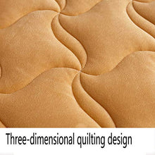 GCP Peluche Studente Materasso Futon,Caldo Confortevole Giapponese Ospite Tappetino,Pieghevole Tatami Sleeping Pad