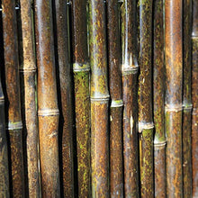 Balcone Protezione Bordo di Recinzione di bambù Schermata Privacy bambù Robusto 3 Cm di Diametro Resistente agli Agenti Atmosferici Copertura di Balconi, Pareti del Giardino, Balconi
