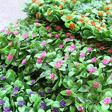 Xiaolin Muro di siepi di Verde Artificiale, Pannello di Sfondo di edera Finto Giardino Pannello di Recinzione di Privacy Giardino 15.7"X 23.6" (Colore : 02)