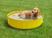 New Plast 0102 - My Dog Pool Piscina per Cani, 140 x 30 cm (ØxH)