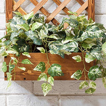 QWD Grande Verticale aPianta con Multifunzione Robusta pianta Fioriere per Le Erbe Artificial Plant Fiori Studio Camera Ufficio Flower Shop