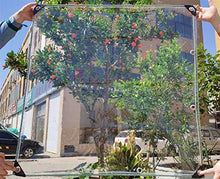 Telone Trasparente PVC 100% Impermeabile Telone, Copertura Impermeabile per Piante, La Dimensione può Essere Personalizzata (Color : Transparent, Size : 1.6x4m)