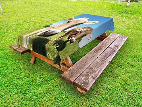ABAKUHAUS Animale da Fattoria Tovaglia da Esterno, Chiuda in su Mucche, Tovaglia da Picnic Lavabile Decorativa, 145 cm x 305 cm, Mela Verde Tan